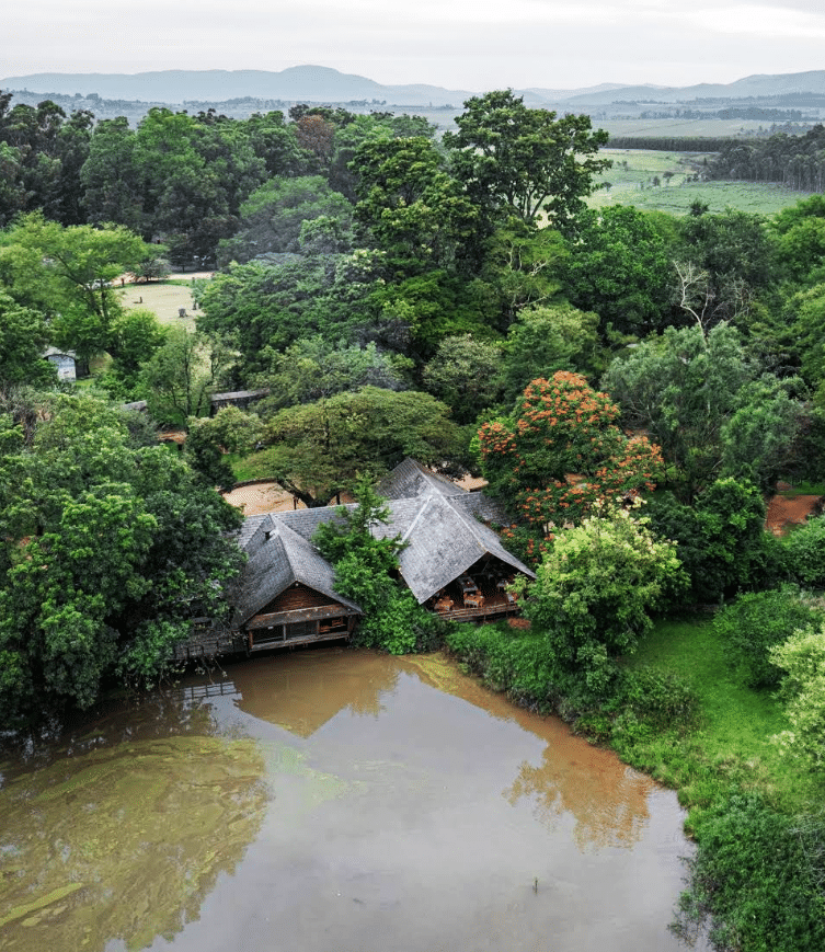 The Standard Bank Luju Food & Lifestyle Festival travel packages Page